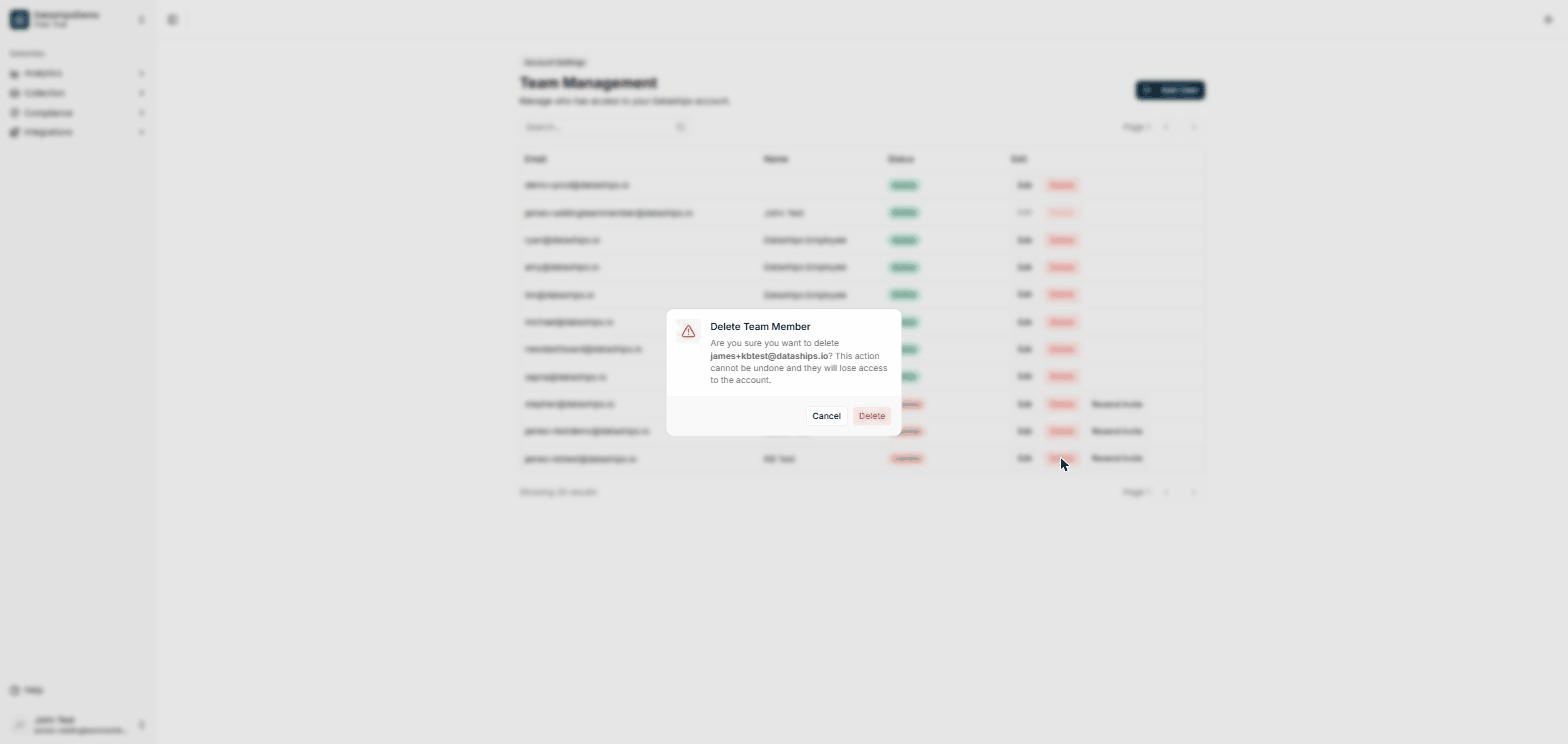 The Delete Team Member confirmation dialog